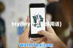 bty(bty什么网络用语)