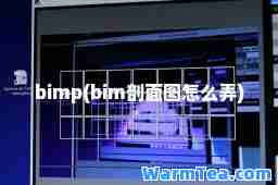 bimp(bim剖面图怎么弄)