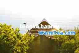 brooke banner
