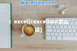 c  excel(cexcellent怎么读)