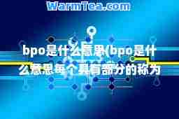 bpo是什么意思(bpo是什么意思每个具有部分的称为产业)