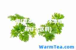 caoB(草本植物和木本植物有什么区别)