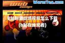 B站战场视频怎么下载(b站在线观看)