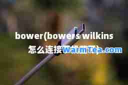 bower(bowers wilkins怎么连接手机蓝牙)