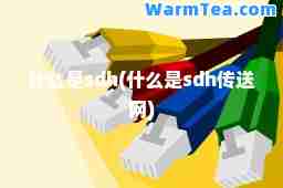 什么是sdh(什么是sdh传送网)