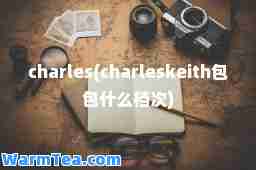 charles(charleskeith包包什么档次)