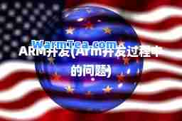ARM开发(Arm开发过程中的问题)