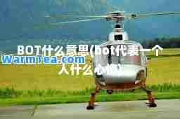 BOT什么意思(bot代表一个人什么心情)