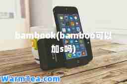 bambook(bamboo可以加s吗)