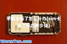 手机卡丢了怎么补办(sim卡丢了补办多少钱)