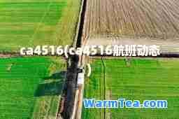 ca4516(ca4516航班动态)