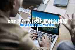 cnn是什么(cnn是什么媒体)
