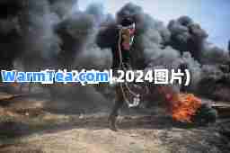 奋斗2(奋斗2024图片)