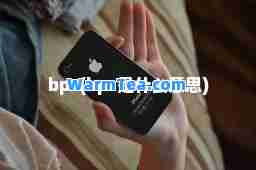 bps(bps是什么意思)