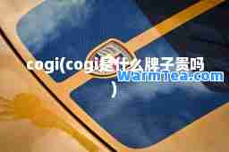 cogi(cogi是什么牌子贵吗)