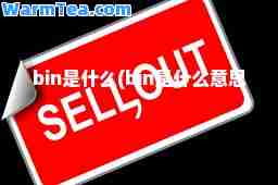 bin是什么(bin是什么意思)