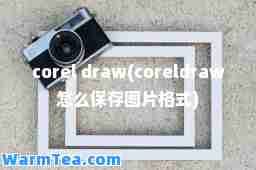 corel draw(coreldraw怎么保存图片格式)