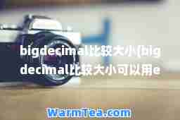 bigdecimal比较大小(bigdecimal比较大小可以用equals吗)