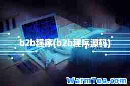 b2b程序(b2b程序源码)