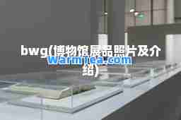 bwg(博物馆展品照片及介绍)