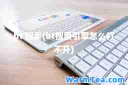 bt 搜索(bt搜索引擎怎么打不开)