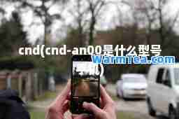 cnd(cnd-an00是什么型号手机)