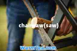 chainsaw(saw)