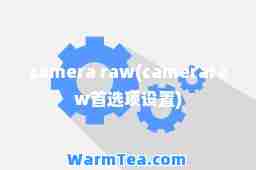 camera raw(cameraraw项设置)
