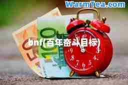 bnf(百年奋斗目标)