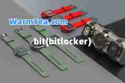 bit(bitlocker)