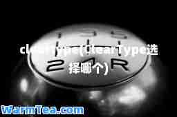 cleartype(ClearType选择哪个)
