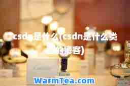 csdn是什么(csdn是什么类型的博客)