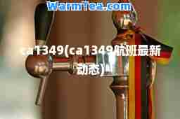 ca1349(ca1349航班动态)