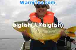 bigfish(大鱼bigfish)