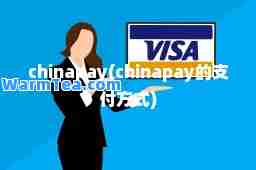 chinapay(chinapay的支付方式)