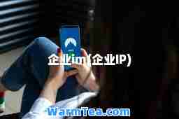 企业im(企业IP)