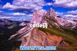 code码