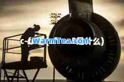 c-free(cfree5是什么)