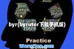 byr(byrutor下载手机版)