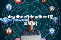 deadbeef(deadbeef怎么解决)