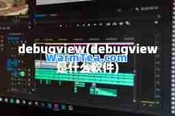debugview(debugview是什么软件)