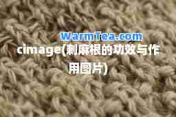 cimage(刺麻根的功效与作用图片)