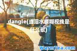 dangle(当泪水模糊视线是什么歌)
