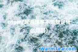 cnpm(尿泡沫多不消散是什么原因)