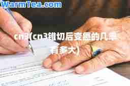 cn3(cn3锥切后变癌的几率有多大)