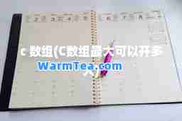 c 数组(C数组可以开多大)