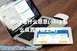 dhcp是什么意思(dhcp怎么设置才能上网)