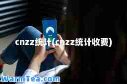 cnzz统计(cnzz统计收费)