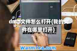 dmp文件怎么打开(我的文件在哪里打开)