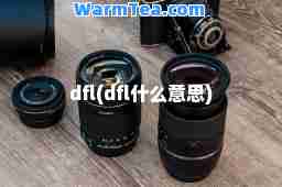 dfl(dfl什么意思)
